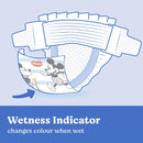 Huggies Ultra Dry Junior Boys Nappies Size 6 16kg+ | 30 Pack