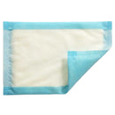 Mesorb Dressing | Pack