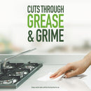 Pine O Cleen Antibacterial Disinfectant Liquid 500mL