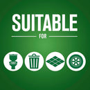 Pine O Cleen Antibacterial Disinfectant Liquid 500mL