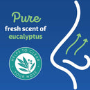 Kleenex Facial Tissues Eucalyptus 3 ply, Packs of 140 | Carton of 24 packets